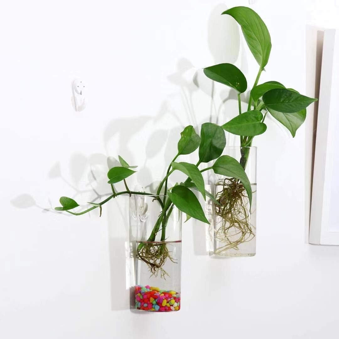 Glass Tube Wall Planter Propagation Station - 2 Pack Terrarium Cylinder Wall Vase with Plant Holder Hydroponic Planter for Home Kitchen Office Decor, Perfect Plant Lover Gifts (Short Cylinder)