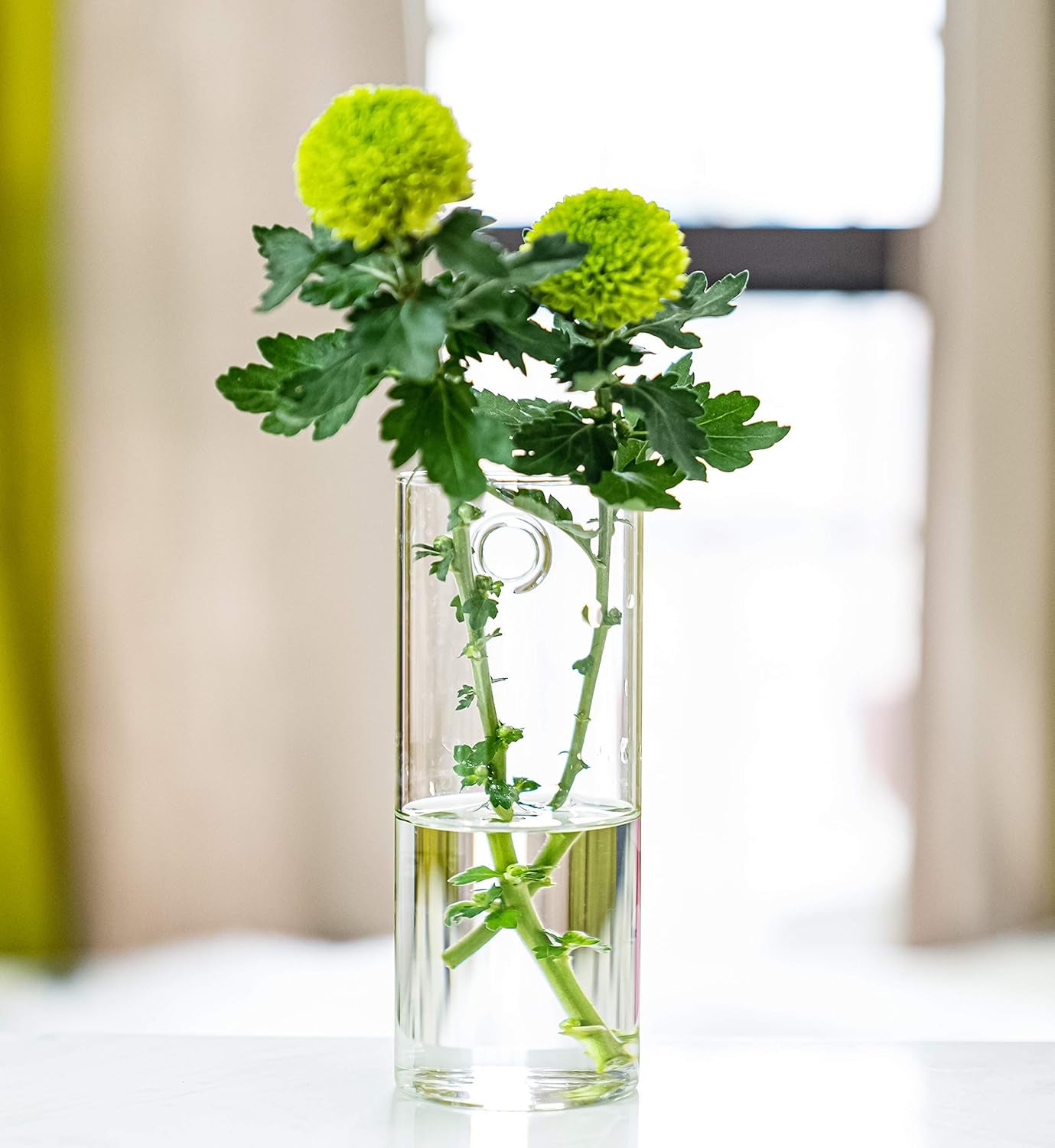 Glass Tube Wall Planter Propagation Station - 2 Pack Terrarium Cylinder Wall Vase with Plant Holder Hydroponic Planter for Home Kitchen Office Decor, Perfect Plant Lover Gifts (Short Cylinder)